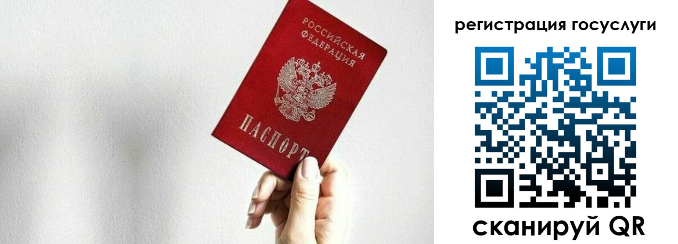 прописка гарантия в Кашире